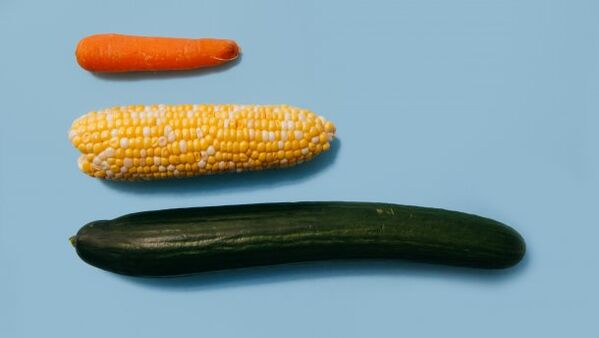 Unterschiedliche Größen eines männlichen Mitglieds am Beispiel von Gemüse